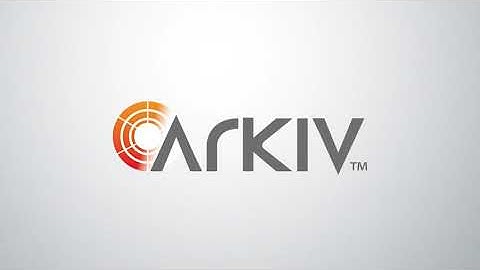 Arkiv Intelligent Video Management Software by Inaxsys