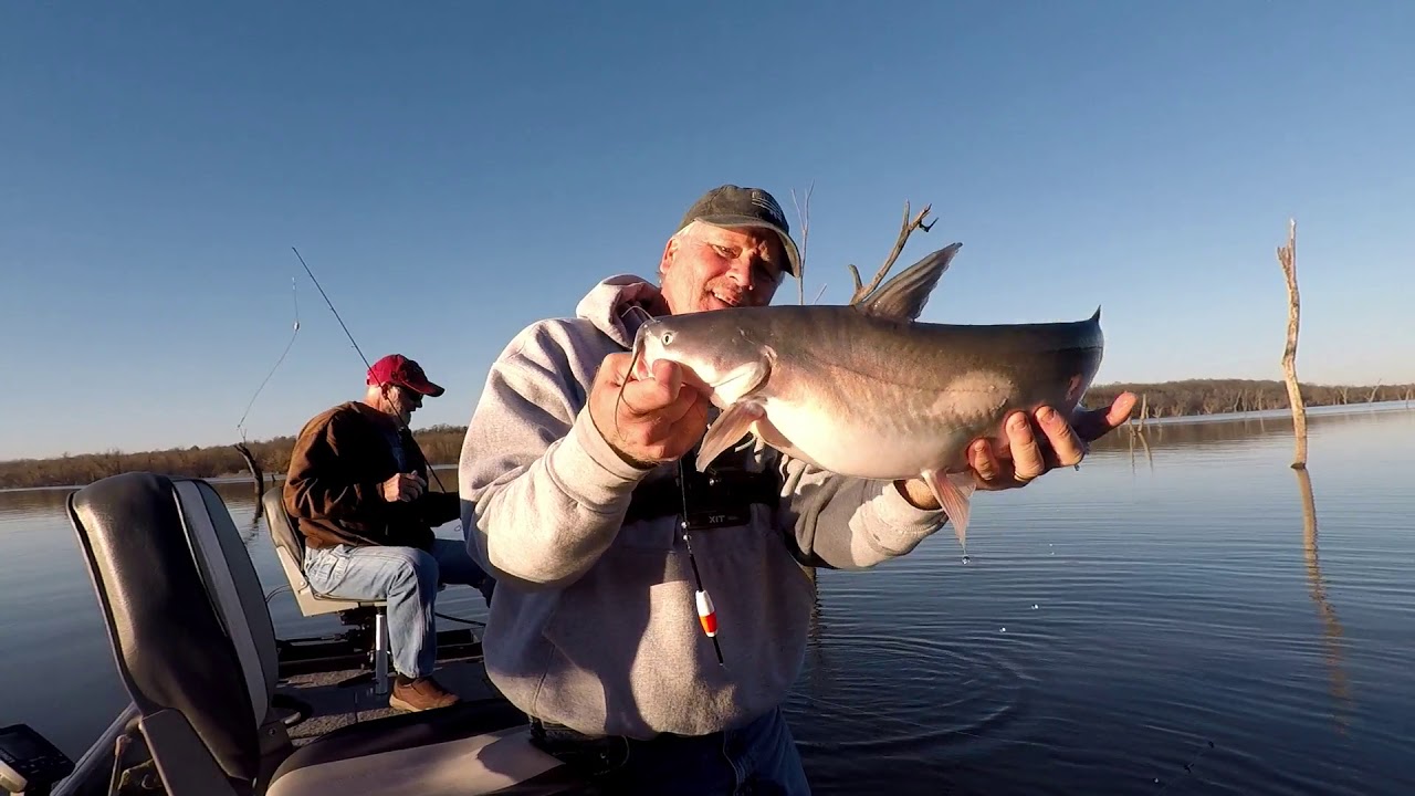 Catfishing with Dave YouTube