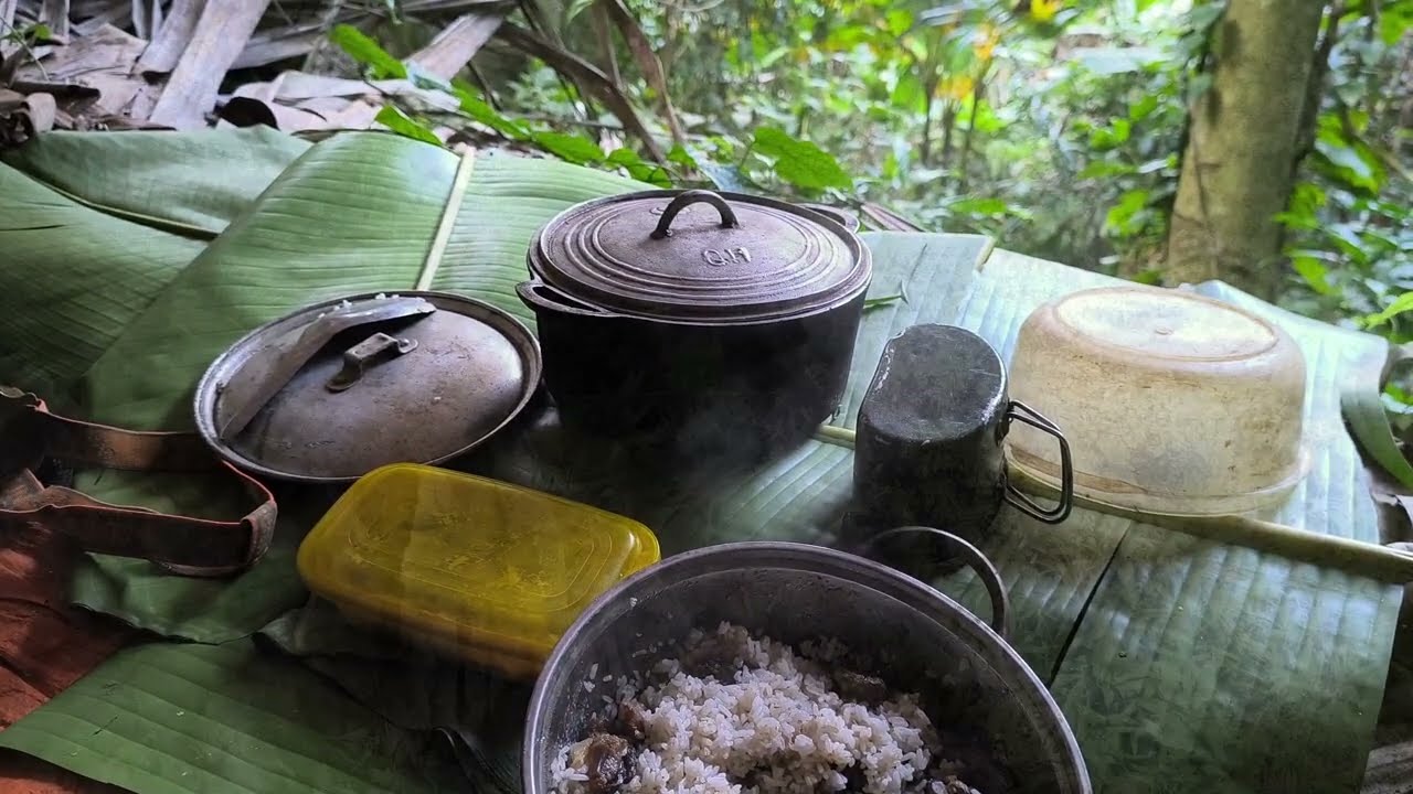 Trở về lán trại cũ trong rừng, không ngờ tan hoang sâu mấy cơn bão,