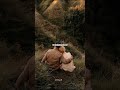 Kanavil neeyum vanthaal....😻💫♥️...#ytshorts #yt #feedshorts #lovestatus #trendingshorts #shorts
