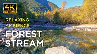 Forest Stream [4K] Relaxing River Sounds for Sleep or Study | White Noise