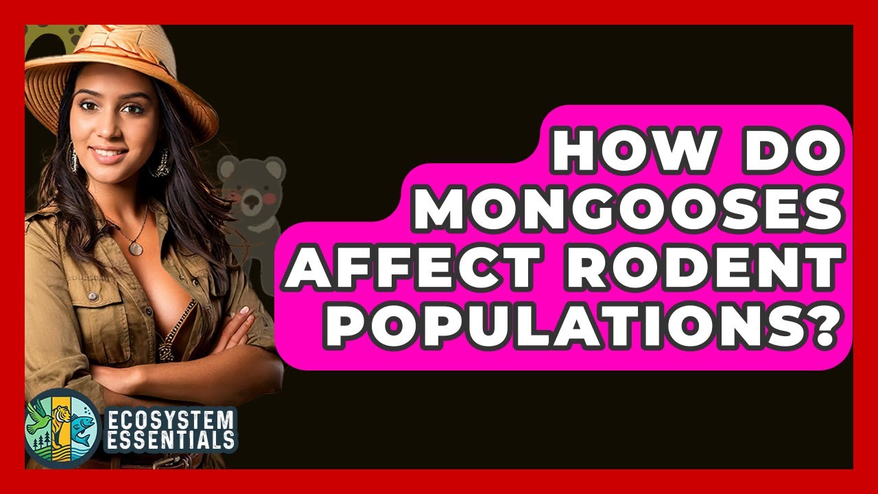 How Do Mongooses Affect Rodent Populations? - Ecosystem Essentials