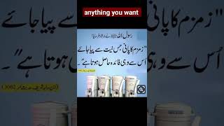 Anything You Want Abdullah