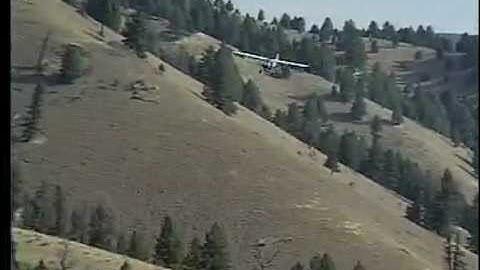 Piper Cub Landing Up-Hill