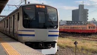 E217系の入線/通過/発車する列車。(2)
