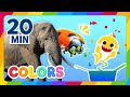 🐘Learn Colors with Baby Shark 🦈｜Surprise Box｜Color Compilation｜Show for Kids｜Fun Puzzle Games