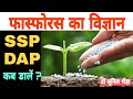 Should ssp be put in summer scientific method of inserting sspdap best method of phosphorus app