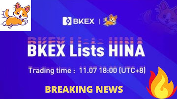 HINA INU MASSIVE UPDATE