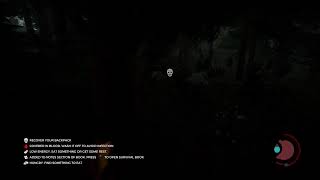 The FOREST hard mode solo