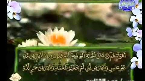 الجزء السادس والعشرون (26) من القرآن الكريم بصوت الشيخ عمر القزابري