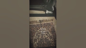 سورة الروم🤍 |القارئ ياسر الدوسري.🤍☘️