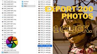 Export, Rename & Watermark 200 Photos in 1 Click (Darktable) Export, Rename & Watermark 200 Photos in 1 Click (Darktable)