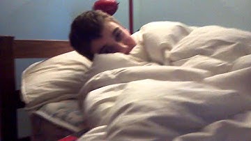 Introduction of Tomatron