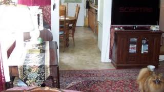230 Edwards Road video tour