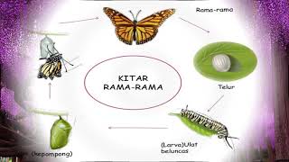 Program Transisi Tahun 1 KAFA, Modul 7, SK Semerbok