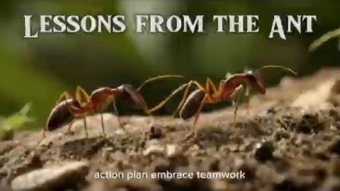 5 Powerful Life Lessons We Can Learn from Ants | Inspirational & Motivational Insights #lifelessons