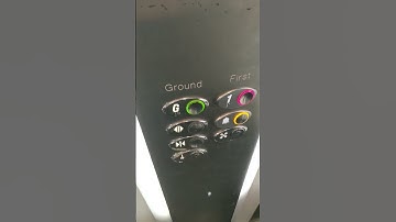 Good things happen when you "look out the window"!