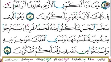 (03) تلاوة بصوت القارئ هزاع البلوشي سورة النحل، الآيات: 12-14