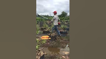 MÁY CẮT CỎ CẢI TIẾN THÀNH MÁY BƠM MINI