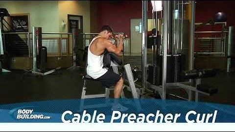 Biceps   Cable Preacher Curl   Exercises Guide!   Live Health Club
