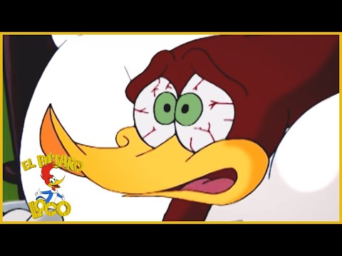 El Pajaro Loco