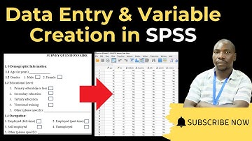 Entering data in SPSS: Variable view and data view explained