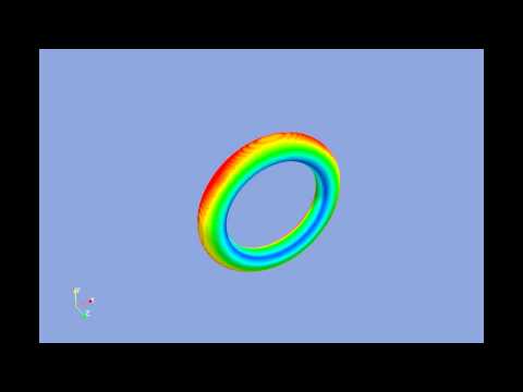 Direct Numerical Simulation of a swirling vortex ring
