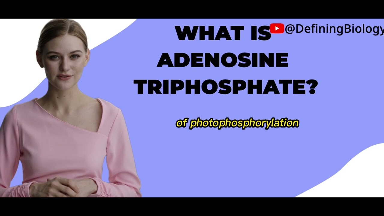 What Is Adenosine Triphosphate ATP - YouTube