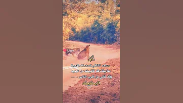 اقوى حالات واتس2025 عبارات صداقه قصف جبهه مواقف ضحكه حب حكم غدر الم حزن فرح خيانه كل يوم جديد اشترك 