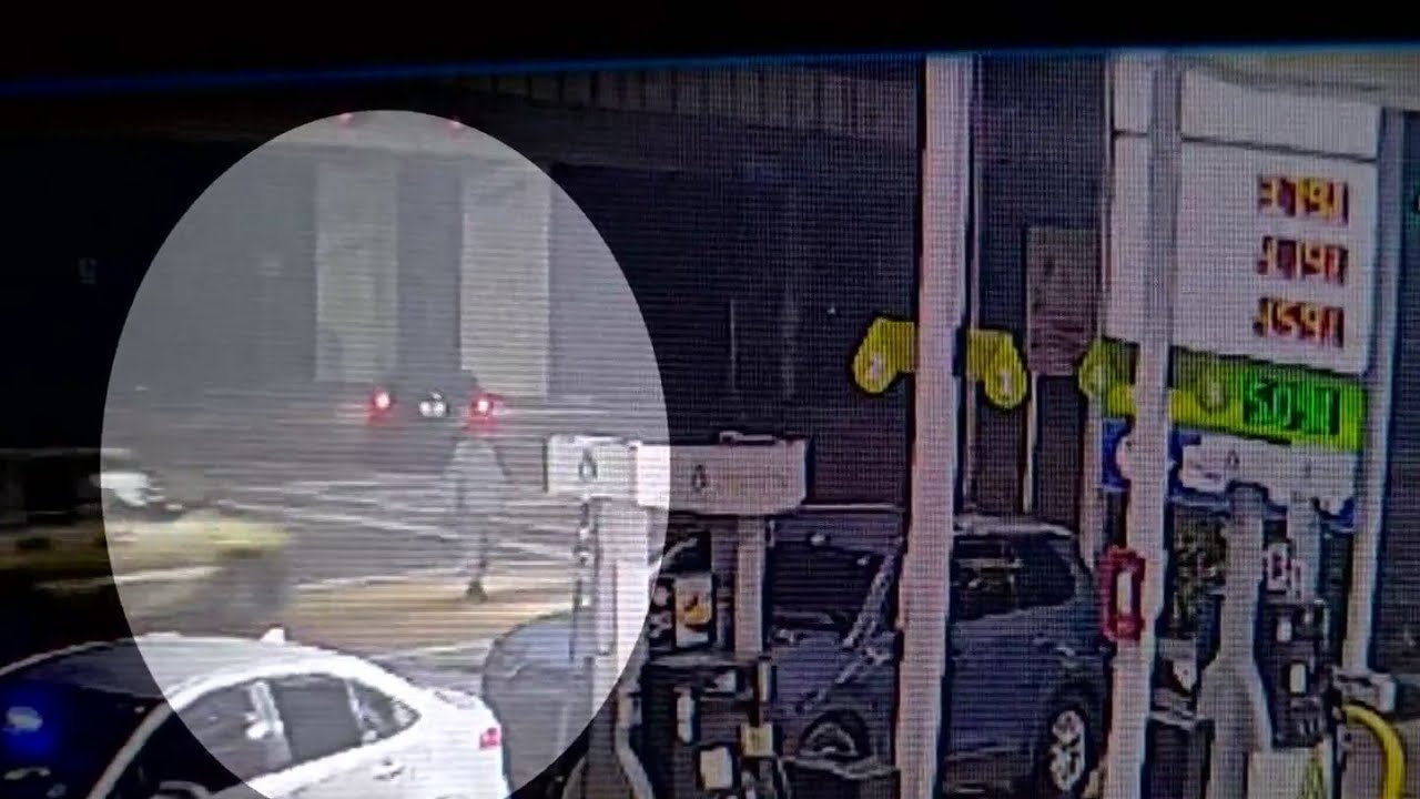 Man killed by hit-and-run driver in Miami early Friday morning - YouTube