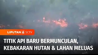 Kebakaran Hutan dan Lahan di Pulau Kalimantan Terus Meluas, Polisi Tangkap Pelaku | Liputan 6