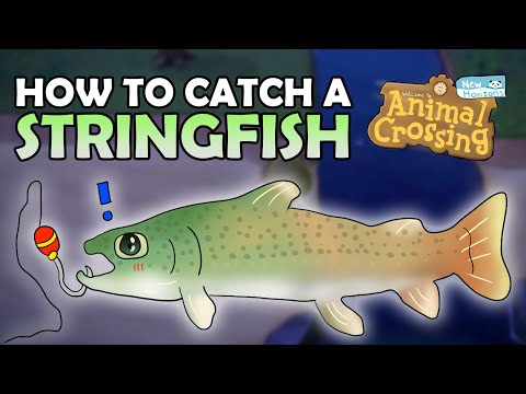 Come prendere uno Stringfish | Stringfish ACNH | Animal Crossing New Horizons Stringfish | Stringfish