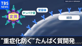 コロナ重症化を防ぐ“特殊なたんぱく質”開発【news23】