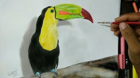 Drawing Keel Billed Toucan 3D art
