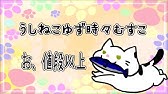 猫 お値段以上ニトリ Youtube 猫 お値段以上ニトリ Youtube