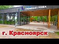Эко-парк «Гремячая грива» г. Красноярск. Бесплатный отдых. 4К.