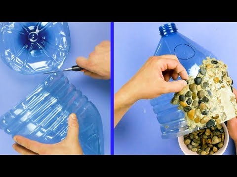 Vidéo: Comment faire des parterres de fleurs avec des bouteilles en plastique ? Exemples