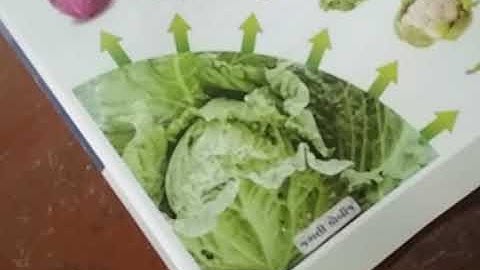 Std 10 Science ch 9 part 3 SHREEMAD DAYANAND KANYA VIDYALAYA