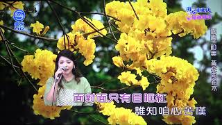 小蓉 桂花夢(詹雅雯)112/01/06 用心來做伙 信大電視台 106台