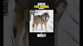 This Animal Quiz Gets Hard Fast #shorts