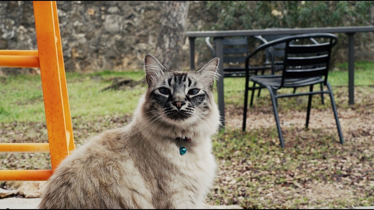 FM005 // 1.14.26 (Pibbs)