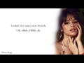 Camila Cabello - Real Friends (Lyrics)