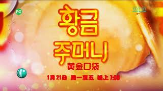 U频道：《黄金口袋》【Golden Pouch】（1月21日起，每逢星期一至五，晚上7点）