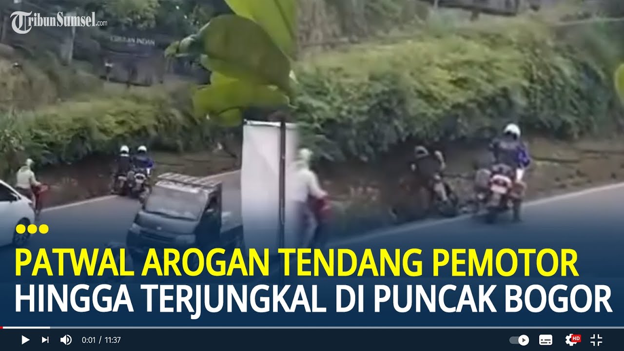Viral Patwal Arogan Tendang Pemotor Hingga Terjungkal di Puncak Bogor, Kabur Saat Disoraki