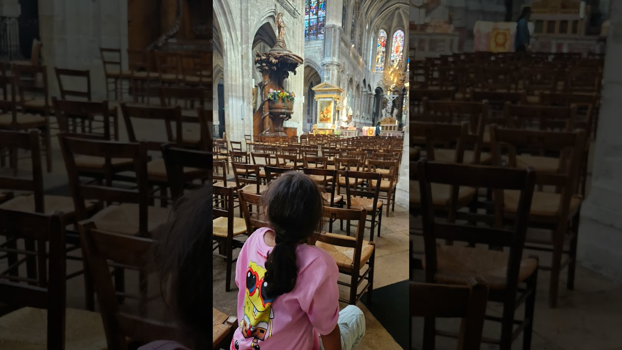 Cathedral from Paris. 