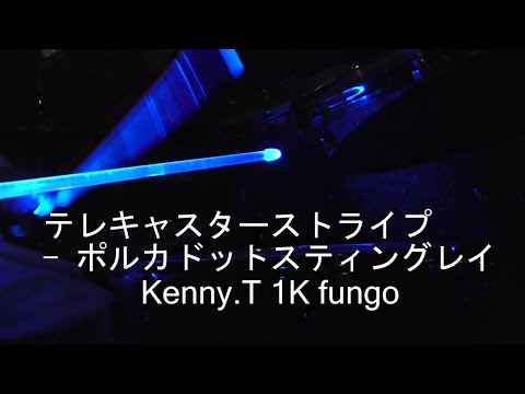 テレキャスター･ストライプ - ポルカドットスティングレイ