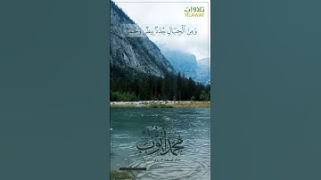 ألم تر أن #الله  أنـزل من السماء ماء فأخرجنا به ثمرات مختلفا ألوانها #سورة #فاطر #محمد_أيوب #حالات
