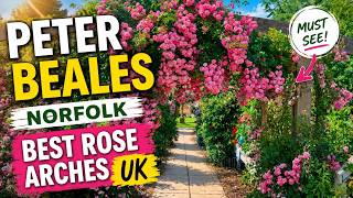One of Britain's Finest Rose Gardens | Peter Beales Roses Norfolk : Free admission, restaurant etc