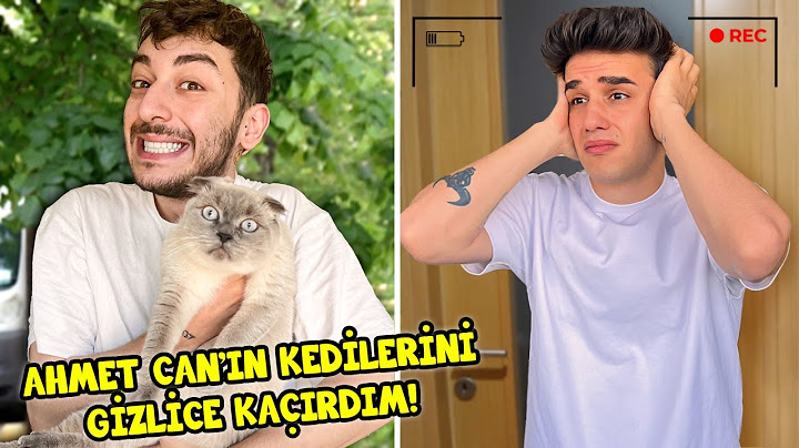 AHMET CAN DÜNDAR 'IN KEDİSİNİ KAÇIRDIM !!!! @AhmetCanDündar @siladundar1