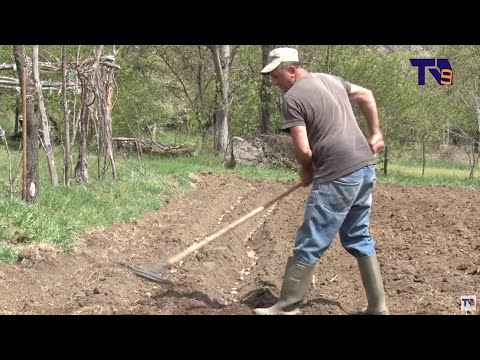 ლაბორატორიული კვლევების აუცილებლობა სასოფლო–სამეურნეო საქმიანობაში